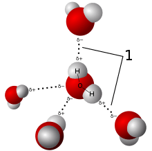 220px 3D model hydrogen bonds in water.svg