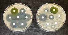 220px Antibiotic sensitivity and resistance