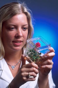 Read more about the article Bachelor of Science in Microbiology (B.Sc – Microbiology) 09￼