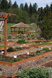 School of Yoga and Naturopathy 2 Bastyr University Garden