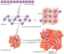 School of Life-Science 2 KL