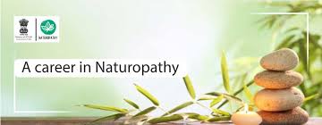 Read more about the article School of Yoga and Naturopathy