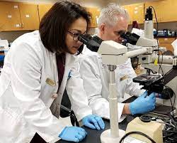 Bachelor of Science in Microbiology (B.Sc - Microbiology)11 2 der