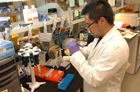 Read more about the article Bachelor of Science in Microbiology (B.Sc – Microbiology) 05￼