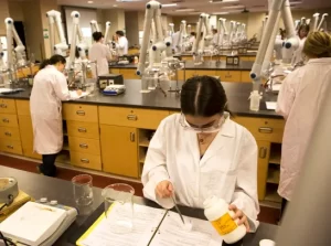 Read more about the article Bachelor of Science in Bio-Technology (BSc Bio -Tech)10￼