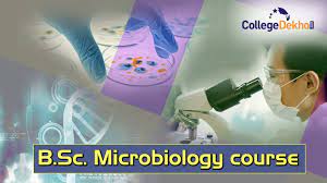 Read more about the article Bachelor of Science in Microbiology (B.Sc – Microbiology) 10￼