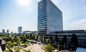 Read more about the article School of Management