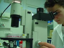 Read more about the article School of Life-Science