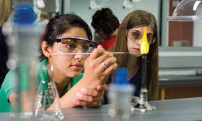 Read more about the article School of Science