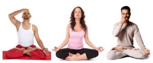 Read more about the article School of Yoga and Naturopathy