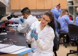 Read more about the article Bachelor of Science in Microbiology (B.Sc – Microbiology)11￼