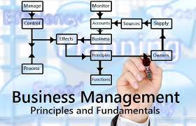 Read more about the article School of Management
