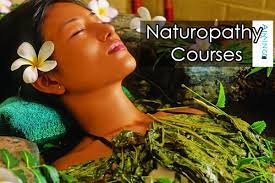 Read more about the article School of Yoga and Naturopathy