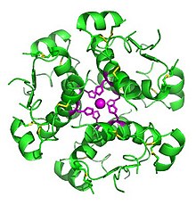 Bachelor of Science Biotechnology (CBT) – Chemistry, Botany, Biotechnology 04 3 220px