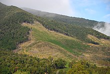 Bachelor of Science Forestry (Botany, Zoology, forestry) 07 3 Deforestation NZ TasmanWestCoast 2 MWegmann