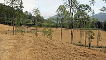 Erp 20111006 6