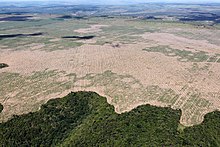 Bachelor of Science Forestry (Botany, Zoology, forestry) 07 2 Operacao Hymenaea Julho 2016 29399454651