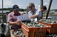 Safe Shellfish 4496 4493305743