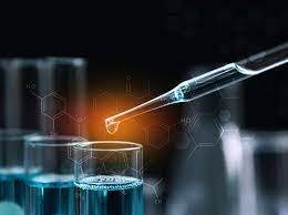 Read more about the article Bachelor of Science Biology (CBZ) – Chemistry, Botany, Zoology 03