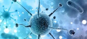 Read more about the article Bachelor of Science Microbiology (CBM) – Chemistry, Botany, Microbiology 12