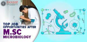 Read more about the article Master of Science in Microbiology (M.Sc.Microbiology) 12￼