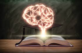 Read more about the article Bachelor of Education 16