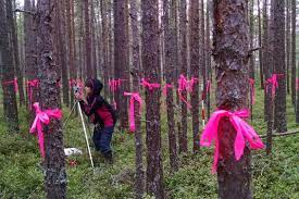 Bachelor of Science Forestry (Botany, Zoology, forestry) 12 2 htg