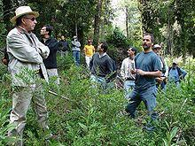 Bachelor of Science Forestry (Botany, Zoology, forestry) 13 2 hth 2