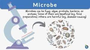 Read more about the article Master of Science in Microbiology (M.Sc.Microbiology) 09￼