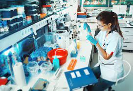 Read more about the article Bachelor of Science Biotechnology (CBT) – Chemistry, Botany, Biotechnology 09