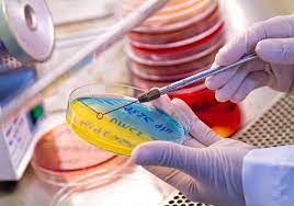 Read more about the article Bachelor of Science Microbiology (CBM) – Chemistry, Botany, Microbiology 08