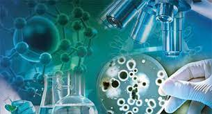 Bachelor of Science Microbiology (CBM) – Chemistry, Botany, Microbiology 11 2 poi