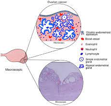 Read more about the article Master of Science in Microbiology (M.Sc.Microbiology) 06