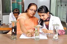 Read more about the article Bachelor of Science Biology (CBZ) – Chemistry, Botany, Zoology 11
