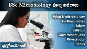 Read more about the article Bachelor of Science Microbiology (CBM) – Chemistry, Botany, Microbiology 07