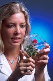 Read more about the article Bachelor of Science Biotechnology (CBT) – Chemistry, Botany, Biotechnology 01