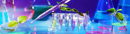 Read more about the article Bachelor of Science Biology (CBZ) – Chemistry, Botany, Zoology 07