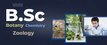 Read more about the article bachelors- n science (b-SC) 07