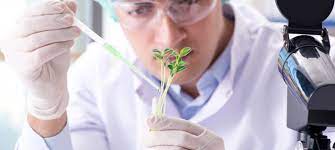Read more about the article Bachelor of Science Microbiology (CBM) – Chemistry, Botany, Microbiology 09