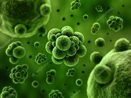 Read more about the article Bachelor of Science Microbiology (CBM) – Chemistry, Botany, Microbiology 15