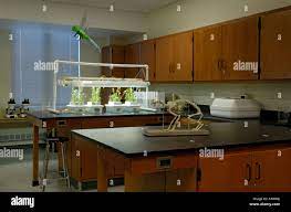 school of Science Syllabus 4 uyi