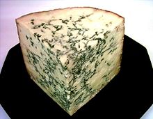 Bachelor of Science Bachelor of Science in (PMIT) – Physics, Mathematics, Information Technology in Placement 6 220px Blue Stilton Quarter Front