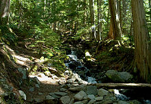 Bachelor of Science Forestry (Botany, Zoology, forestry) in China 2 220px Garibaldi National Park Garibaldi Mountain