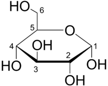 220px Glucose Haworth