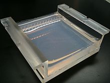 220px Two percent Agarose Gel in Borate Buffer cast in a Gel Tray Front angled