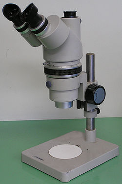 Bachelor of Science Microbiology (CBM) – Chemistry, Botany, Microbiology Smart girl 4 250px Optical stereo microscope nikon smz10