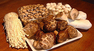 Bachelor of Science Bachelor of Science in (PMIT) – Physics, Mathematics, Information Technology in Placement 5 300px Asian mushrooms