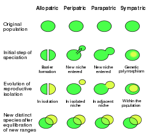 Bachelor of Science Biology (CBZ) – Chemistry, Botany, Zoology Lab 2 300px Speciation modes.svg