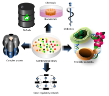 Bachelor of Science Biotechnology (CBT) – Chemistry, Botany, Biotechnology Placement 2 Applications of combinatorial gene circuit optimization strategies.svg