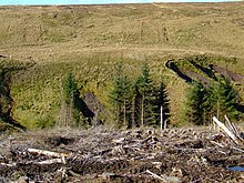 Deforestation at Loch Thom geograph.org .uk 2298484